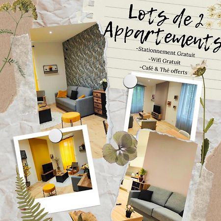 Appartements A Theme 클레르몽페랑 외부 사진